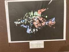 IMG_1905